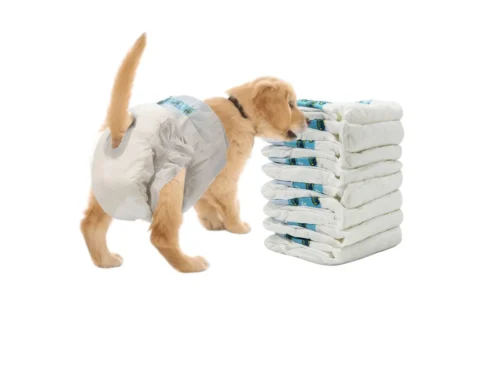 COTTECOTA-8 Piezas Pañales Sanitarios para Perros Ajustador Desechable Entrenamiento para Cachorros Femeninos