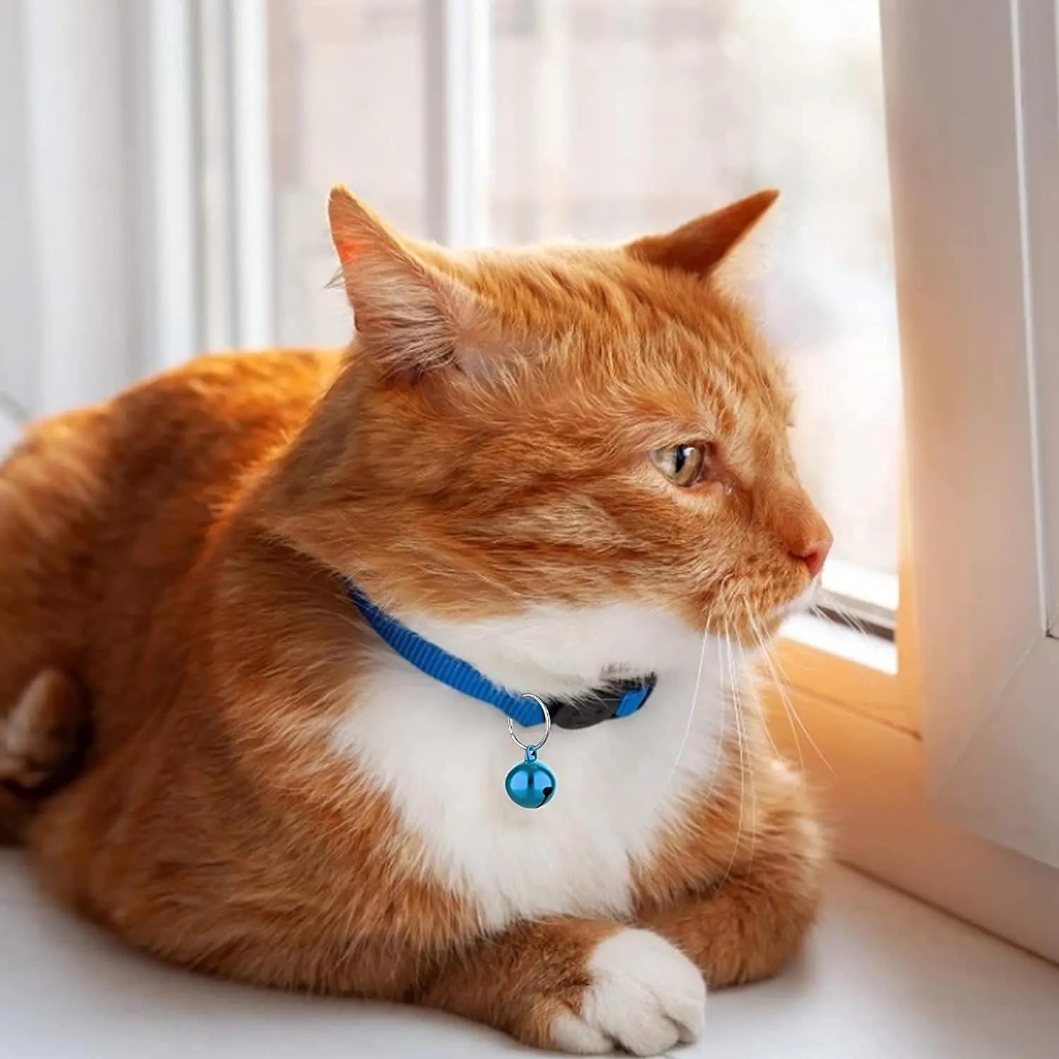 kf-Ec0e70d59bdc744e08a9f1be075508fc01-COTTECOTA-24-Cat-and-Dog-Collar-Bells-Random-Color-Cat-Collar-Rattlesnels-Dog-Collar-Pendants-Pet