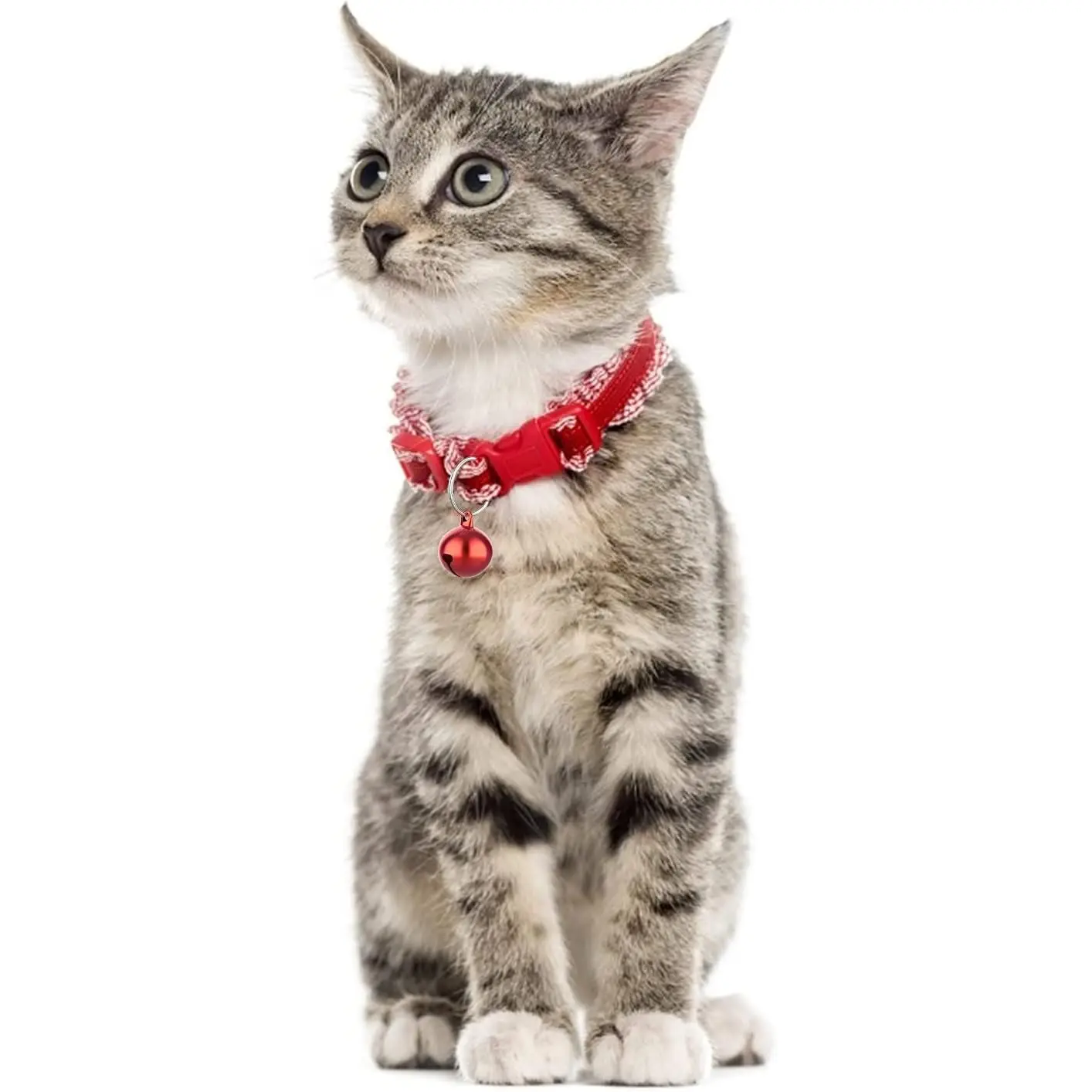 kf-Ee998bff1c43c48118a32f945e26dfe7cj-COTTECOTA-24-Cat-and-Dog-Collar-Bells-Random-Color-Cat-Collar-Rattlesnels-Dog-Collar-Pendants-Pet