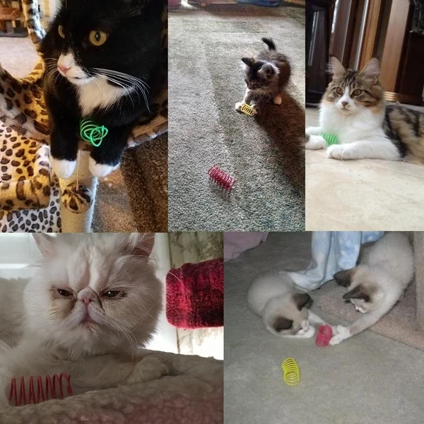 kf-S022ce5f5e77546f7b798d5534ccfd5a6V-Kitten-Coil-Spiral-Springs-Cat-Toys-Interactive-Gauge-Cat-Spring-Toy-Colorful-Springs-Cat-Pet-Toy