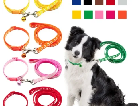 Cuerda de tracción ajustable para mascotas, Collar transpirable con estampado de pata de perro para cachorro