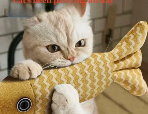 Juguetes con hierba gatera para rechinar los dientes, divertido juguete interactivo para gatos de peluche