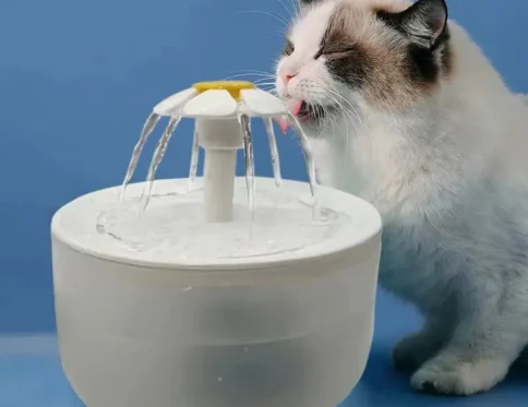 Fuente de agua con filtro automático, cuenco para beber para gato silencioso eléctrico USB