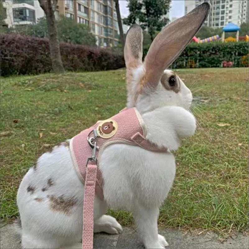 kf-S28a96810101c404b9788b470502a4eac4-Newest-Cute-Rabbit-Harness-and-Leash-Set-Bunny-Pet-Accessories-Vest-Harnesses-Rabbit-Leashes-for-Outdoor