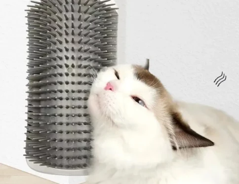 Masaje Gato Cepillo Esquina Raspar Depilación Belleza Limpiar Esquina Cepillo Extraíble