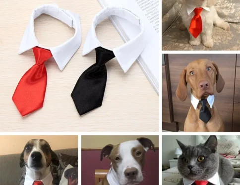 Corbata formal para perro y gato, pajarita de esmoquin