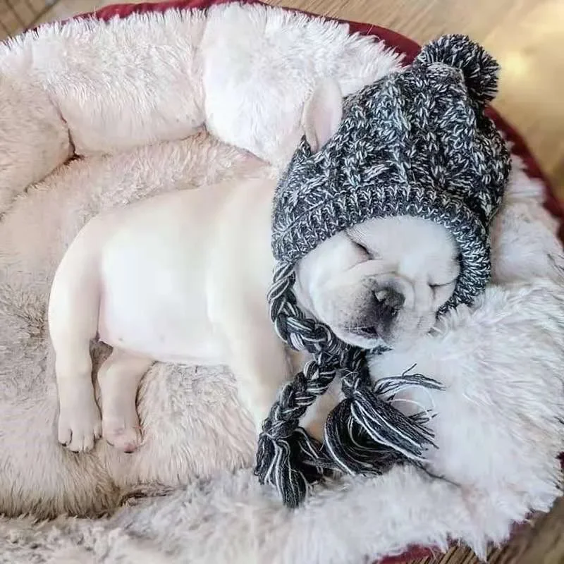 kf-S69b475b2000f486b9c8409f2bac0c333V-Winter-Warm-Dog-Hats-Windproof-Knitting-French-Bulldog-Hat-For-Dogs-Chihuahua-Hat-Fluffy-Ball-Pet