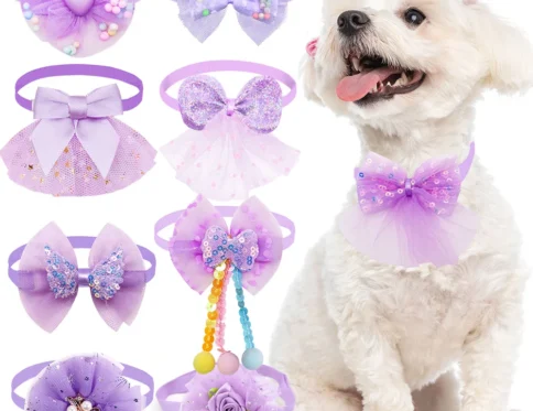 Cachorro a granel del collar de las pajaritas del gato del perro del cordón colorido