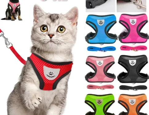 Arnés para perros y gatos con correa ajustable, chaleco ajustable, malla de poliéster