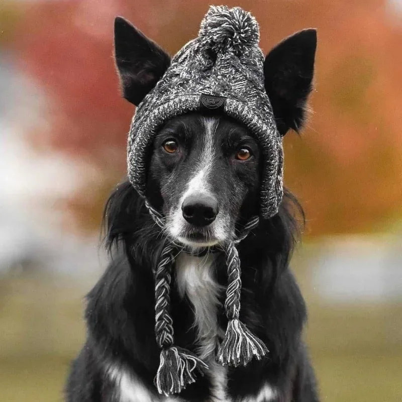 kf-S8913809c77214286bb797e7803f75ec93-Winter-Warm-Dog-Hats-Windproof-Knitting-French-Bulldog-Hat-For-Dogs-Chihuahua-Hat-Fluffy-Ball-Pet