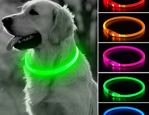 Collar de perro LED Collar de perro de gato luminoso