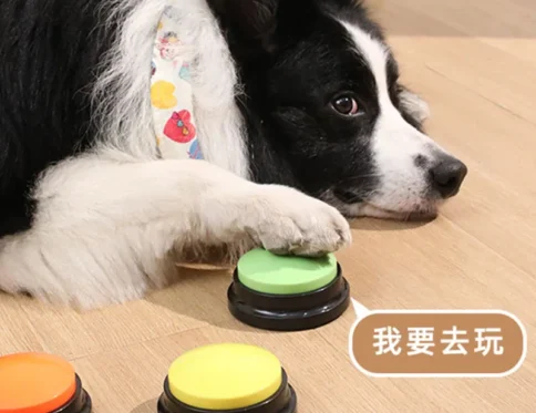 Botones de comunicación para perros Botón de grabación de voz para entrenamiento de mascotas