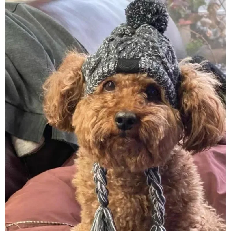 kf-Sa1fba58951ca4aa69aecea3c4013a399w-Winter-Warm-Dog-Hats-Windproof-Knitting-French-Bulldog-Hat-For-Dogs-Chihuahua-Hat-Fluffy-Ball-Pet