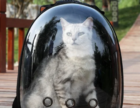 El fabricante suministra directamente bolsas para gatos, mochilas para mascotas, portátiles y transparentes.