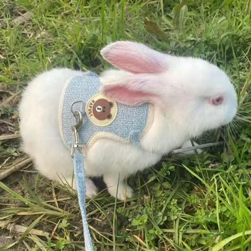 kf-Sb7f65822ad7e48f7afb3aaf86c11b8c67-Newest-Cute-Rabbit-Harness-and-Leash-Set-Bunny-Pet-Accessories-Vest-Harnesses-Rabbit-Leashes-for-Outdoor