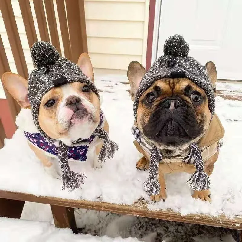 kf-Sbae450b310d44c8284659408dc504480F-Winter-Warm-Dog-Hats-Windproof-Knitting-French-Bulldog-Hat-For-Dogs-Chihuahua-Hat-Fluffy-Ball-Pet