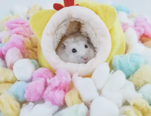 Soft Cute Small Cage Accessories Warm Bed Good Nest Breathable