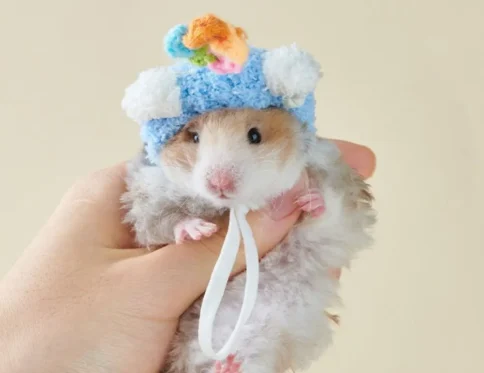 Lindo sombrero decorativo de lana de hámster, sombrero de hámster tejido de ganchillo suave y transpirable