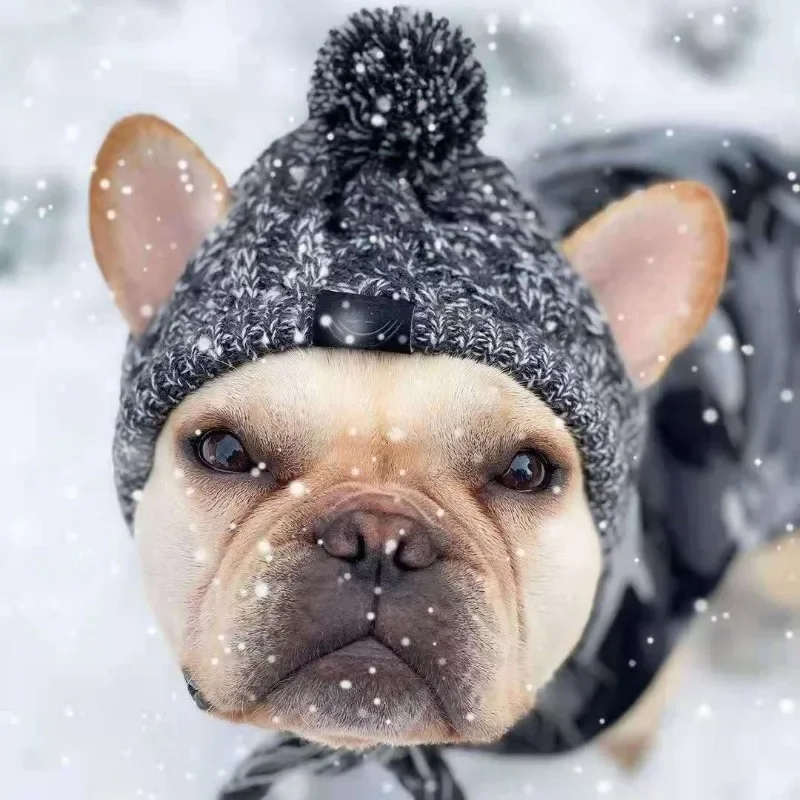 kf-Sc760af9310ef4dd4a70fda0584f4d671E-Winter-Warm-Dog-Hats-Windproof-Knitting-French-Bulldog-Hat-For-Dogs-Chihuahua-Hat-Fluffy-Ball-Pet