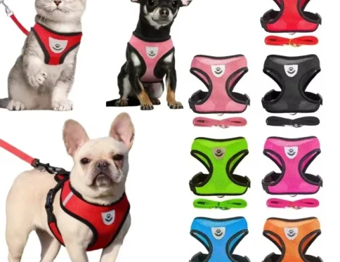 Arnés para perros Correa para caminar para perros pequeños