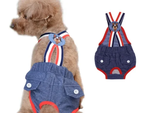 Pantalones fisiológicos para mascotas, pañales lavables para perros femeninos, pantalones cortos sanitarios
