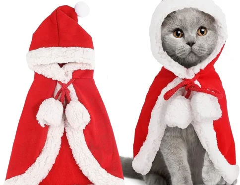 Disfraz de gato santa cosplay divertido
