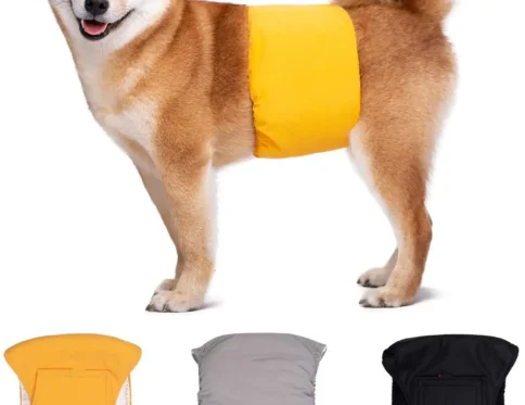 Pañales lavables para perros, machos, absorbentes, ajustables, para cachorros, perros grandes