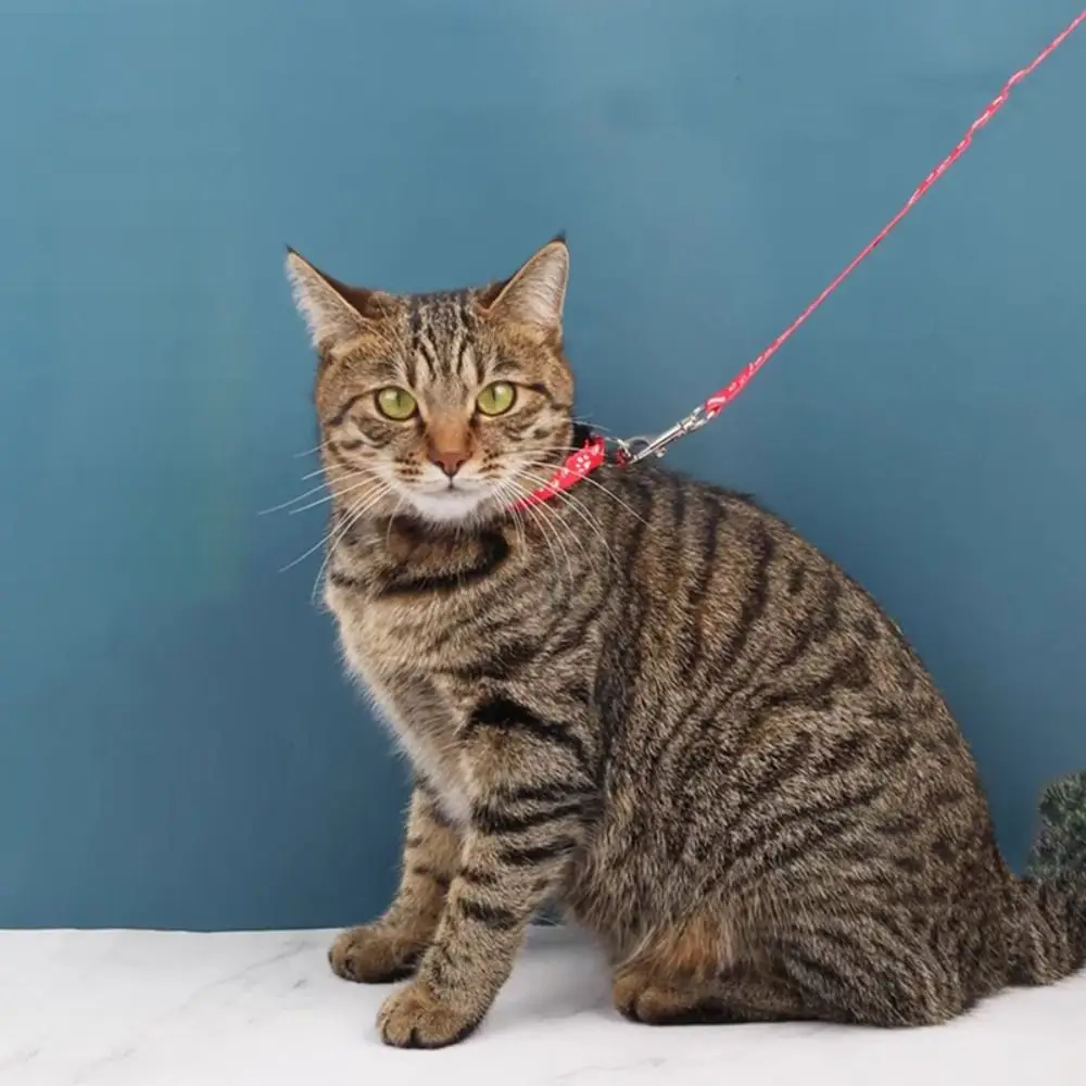 kf-Sf7f06095ced74a1da98ce068a0db8196J-Adjustable-Pet-Traction-Rope-Breathable-Dog-Paw-Print-Puppy-Collar-Set-with-Collar-Pet-Walking-Lead