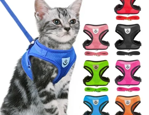 Arnés para gatos, chaleco, correa para caminar para perros cachorros
