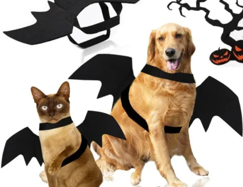 Disfraz de Halloween para perros Disfraz de murciélago para perros y gatos con alas de murciélago para mascotas