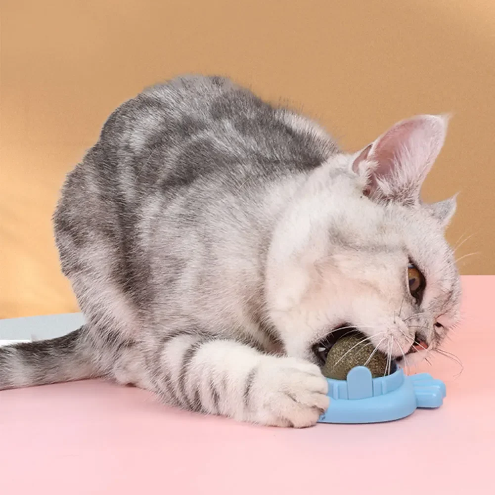 kf-S0e9e01e4bb854ea5aafa0a7b2d566ea2f-Rascador-de-hierba-gatera-Natural-para-gatos-Bola-de-pared-de-juguete-elimina-bolas-para-promover