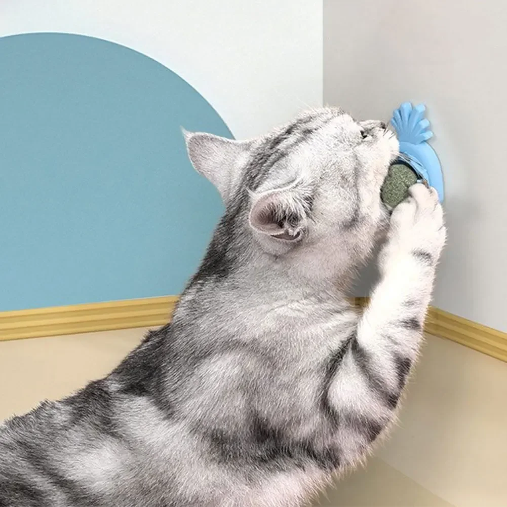 kf-S4b31e26a1c5045c99f536667ec07e1dbo-Rascador-de-hierba-gatera-Natural-para-gatos-Bola-de-pared-de-juguete-elimina-bolas-para-promover