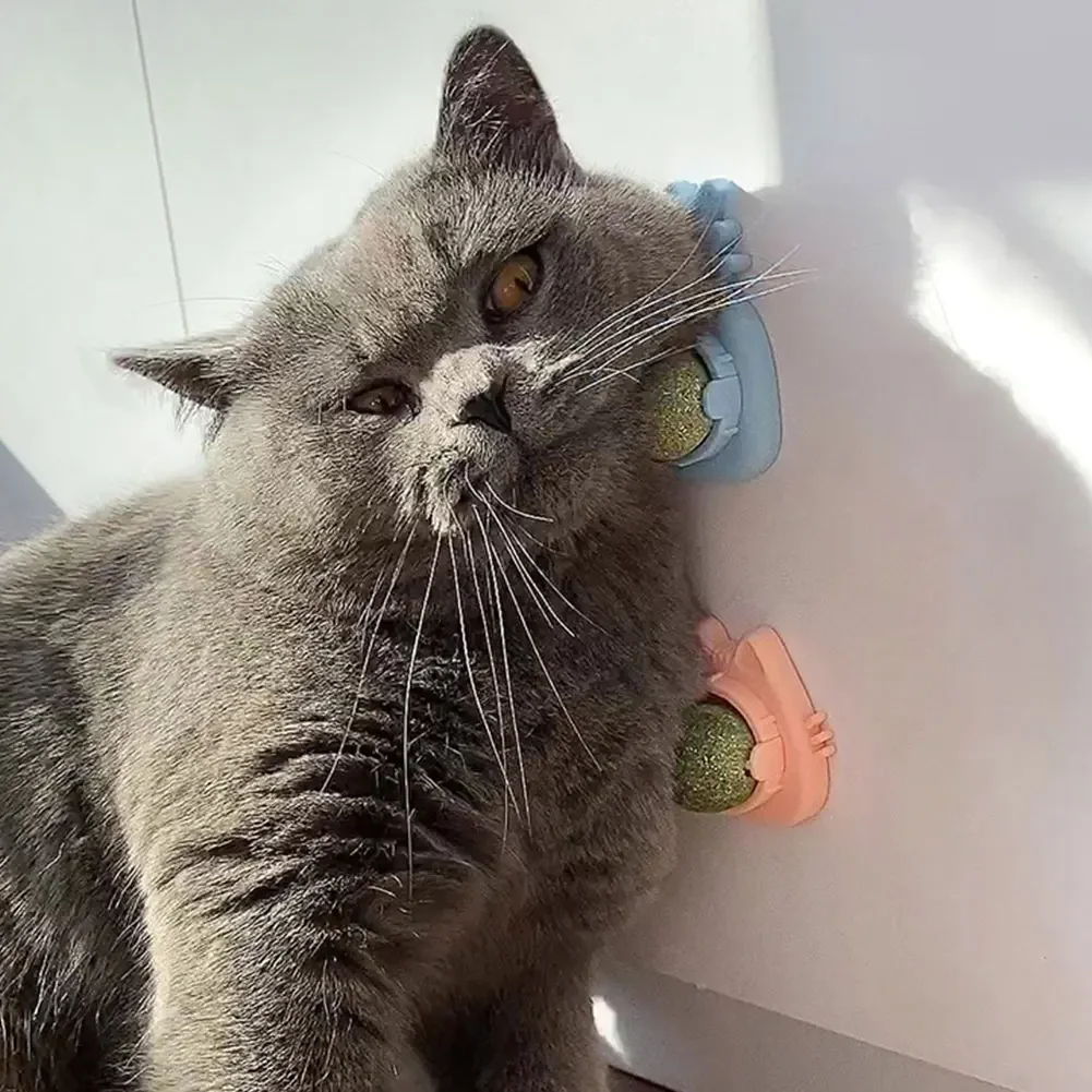 kf-S6a173c32e81d45cd915a6fb90e0a077ai-Rascador-de-hierba-gatera-Natural-para-gatos-Bola-de-pared-de-juguete-elimina-bolas-para-promover