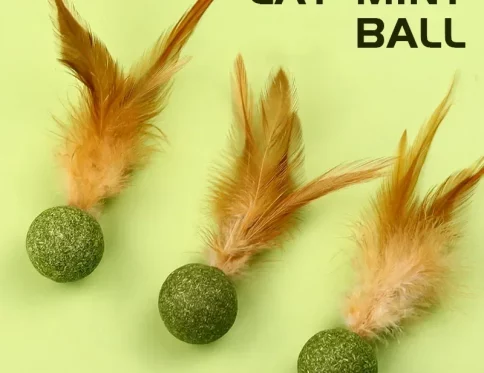 Juguete de hierba gatera para mascotas, bola de menta comestible, saludable, juego de percha para limpiar dientes