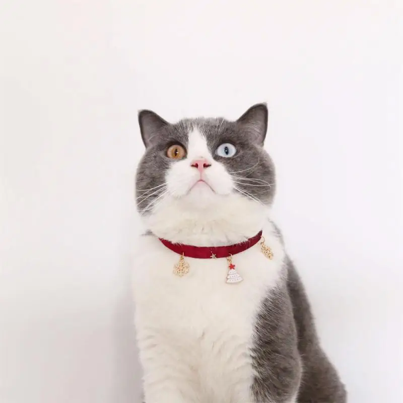 kf-S87820ac1d4fc44a1ae265e1baca3b01dh-Collar-ajustable-de-estrella-bronceadora-de-terciopelo-para-gatos-hueso-de-pescado-para-cachorros-copo-de