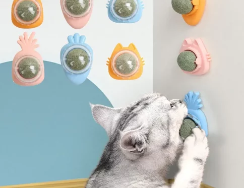 Rascador de Hierba Gatera Natural para Gatos, Promueve Digestión