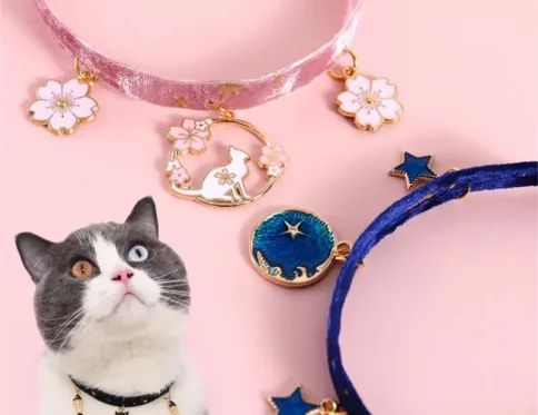 Collar ajustable de estrella bronceadora de terciopelo para gatos, hueso de pescado para cachorros, copo de nieve