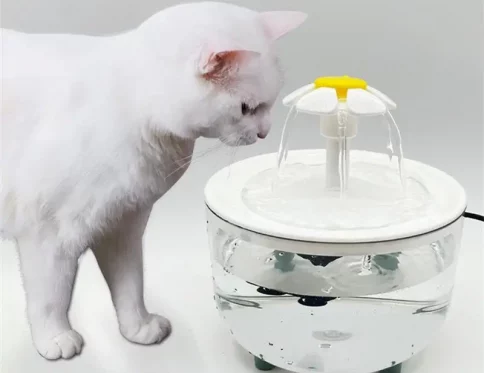 Fuente USB 1200ml para gatos