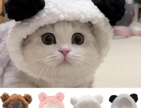 Gorro de felpa con orejas de oso para mascotas, disfraz