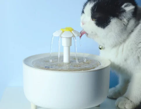 Fuente de agua USB de 2L para gatos, filtro de circulación automática
