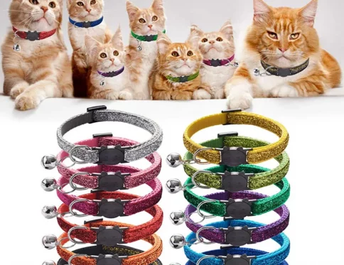 Collar de Seguridad para Gatos con Campana, Diseño Personalizado