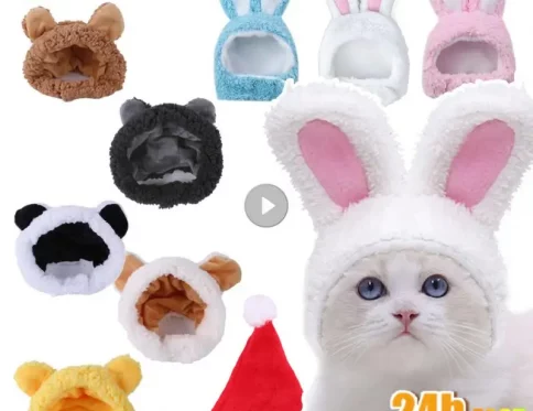 Sombrero de oso o conejo para gatos, cálido y cómodo